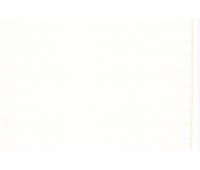 Organza Italia 76 Yellow Organza Italia 76 Yellow