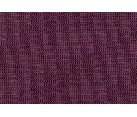 Paris 2561 Grape Paris 2561 Grape