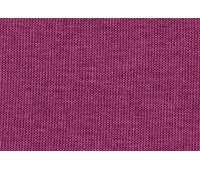 Paris 2577 Purple Paris 2577 Purple