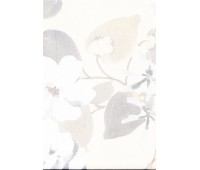 Patricia Grey Patricia Grey