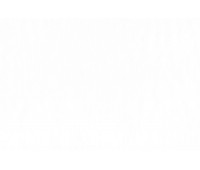 Rome Organza 303 Avorio Rome Organza 303 Avorio