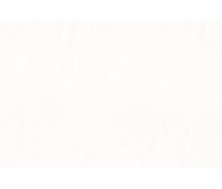 Rome Organza 303 Champagne Rome Organza 303 Champagne