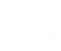 Rome Organza 303 Naturale Rome Organza 303 Naturale