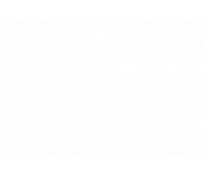 Ткань Rome Organza 303 Naturale на отрез