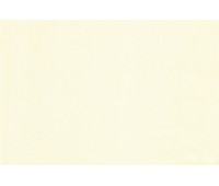 Stella Max 13 Yellow Stella Max 13 Yellow