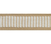 Тесьма 10028/22