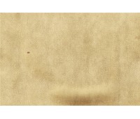 Carmen DL 10 Carmen DL 10