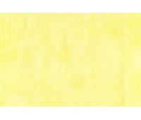 Carmen DL 13 Carmen DL 13