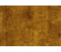 Carmen DL 15 Carmen DL 15