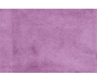 Carmen DL 31 Carmen DL 31