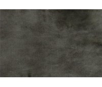 Carmen DL 41 Carmen DL 41