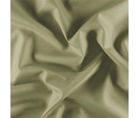 Ida Ivo Leaf Ida Ivo Leaf