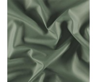 Ida Ivo Olive Ida Ivo Olive