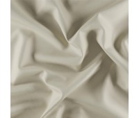 Ida Ivo Oyster Ida Ivo Oyster