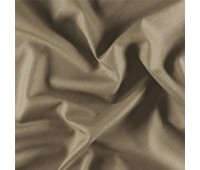 Ida Jozef Lion Ida Jozef Lion