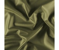 Ida Simon Moss Ida Simon Moss