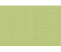 Bengali 10107 Sorbet