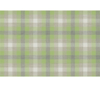 Ткань Checks f020 Mac Mojito на отрез Ткань Checks f020 Mac Mojito на отрез