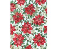 Winflor Blanco Winflor Blanco