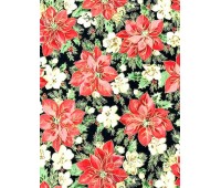 Winflor Negro Winflor Negro