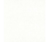 311 Primiero 15 Primiero Cream 311 Primiero 15 Primiero Cream