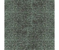 311 Primiero 18 Primiero Fossil 311 Primiero 18 Primiero Fossil