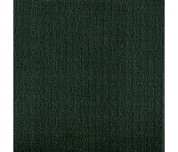 311 Primiero 19 Primiero Hunter 311 Primiero 19 Primiero Hunter