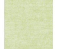 311 Primiero 21 Primiero Lichen 311 Primiero 21 Primiero Lichen