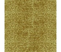 311 Primiero 23 Primiero Lion 311 Primiero 23 Primiero Lion