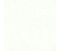 311 Primiero 29 Primiero Pearl 311 Primiero 29 Primiero Pearl