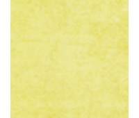 311 Primiero 39 Primiero Sunflower 311 Primiero 39 Primiero Sunflower