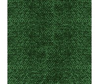 311 Primiero 40 Primiero Turtle 311 Primiero 40 Primiero Turtle