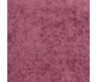 311 Primiero 5 Primiero Boudoir 311 Primiero 5 Primiero Boudoir