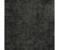 311 Primiero 7 Primiero Brownie 311 Primiero 7 Primiero Brownie