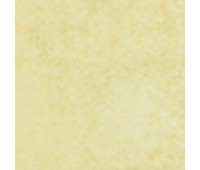 311 Primiero 8 Primiero Camel 311 Primiero 8 Primiero Camel