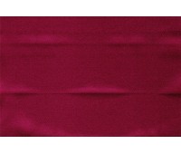 Lange 36 Petunia Lange 36 Petunia