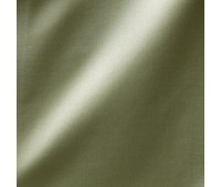 South Face 08 Fern South Face 08 Fern