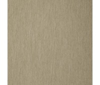 Timing Period 10 Seagrass