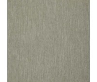 Timing Period 16 Funghi