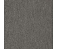 Timing Period 24 Shark