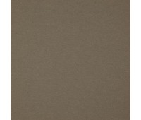 Timing Time 14 Chipmunk