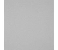 Timing Time 21 Silver