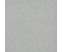 360 Pastel 21 Focus Silver 360 Pastel 21 Focus Silver