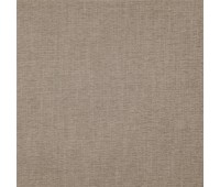 360 Pastel 8 Dense Funghi 360 Pastel 8 Dense Funghi