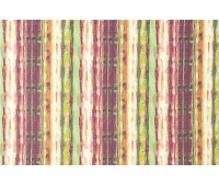 Tropicana 16 Tropicana 16