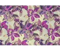 Tropicana 21 Tropicana 21