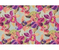 Tropicana 27 Tropicana 27