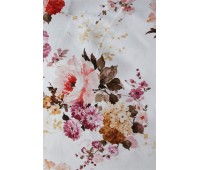 Cotonello Bellamy C 07