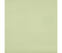 370 Crystal 103 026 Pistachio 370 Crystal 103 026 Pistachio