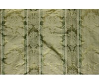 155 Muscato 47 Daria Wheatgrass 5880573 155 Muscato 47 Daria Wheatgrass 5880573